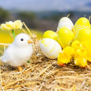 Un souffle de printemps, un brin de poésie ✨
Installation d’une décoration de Pâques au cœur des paysages du Luberon : couleurs douces, lumière dorée, et une touche d’enfance pour des souvenirs immortalisés avec tendresse.
Commande d’une photographe pour ses shooting client 🌸

Professionnel ? Pensez à vos décorations de vitrine, restaurant, local d’entreprise, showroom… ✨

————————————
Sorre Events | Agence Événementielle | Organisation d’événement | Décoration | Mariage | Anniversaire | Fêtes