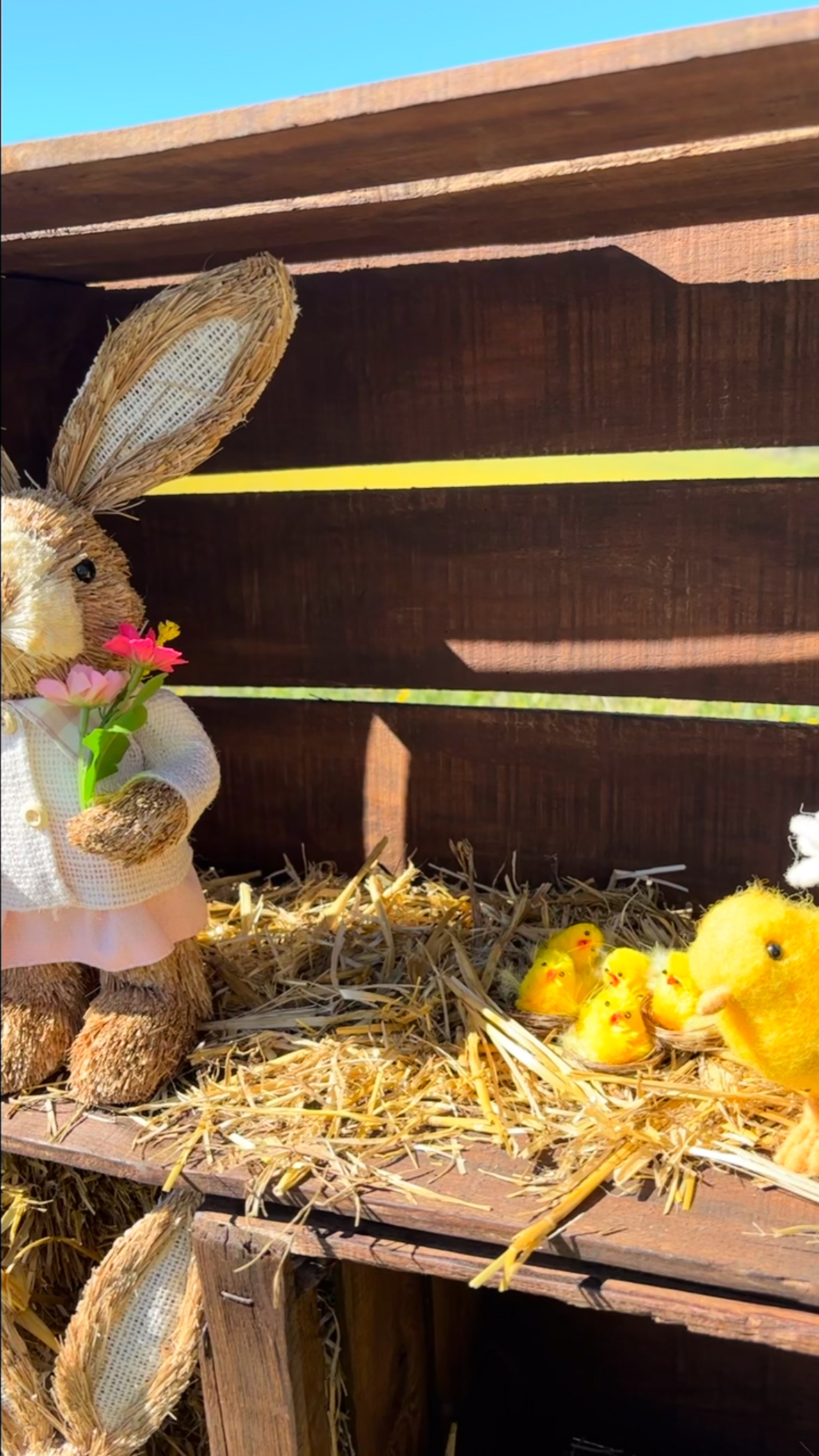 Une parenthèse enchantée au cœur du Luberon ✨
Un champ de fleurs jaunes, une décoration de Pâques tout en simplicité, et l’essentiel : de beaux souvenirs en famille. 
Pique-nique, rires d’enfants, instants capturés… 
La magie opère quand nature et partage se rencontrent. 🐣

————————————
Sorre Events | Agence Événementielle | Organisation d’événement | Décoration | Mariage | Anniversaire | Fêtes