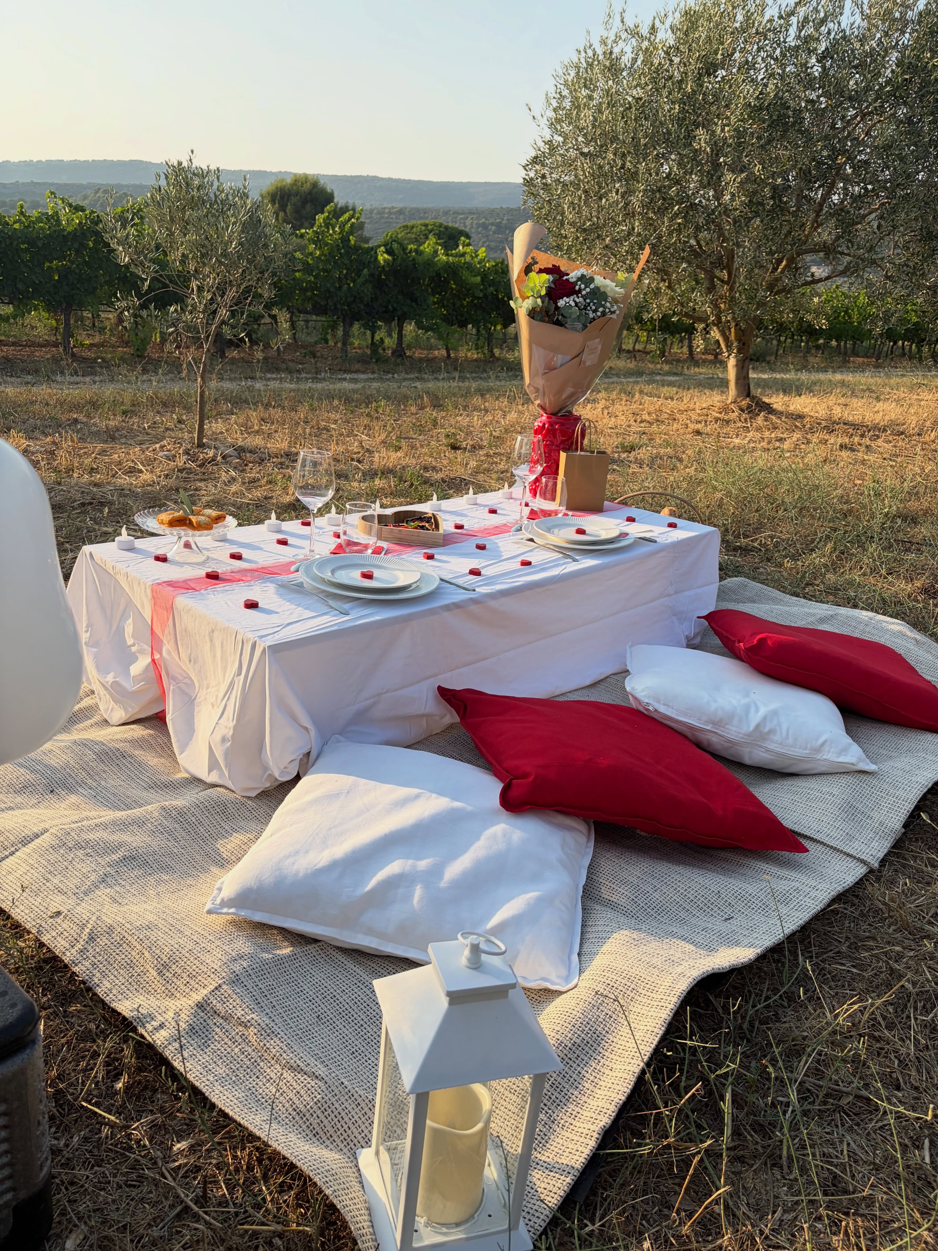 💍✨ Une demande en mariage sous le thème d’un pique-nique surprise ?

Un cadre intimiste, la douceur du soleil couchant, un pique-nique pensé dans les moindres détails… et surtout, un instant qui restera gravé pour toujours 🤍

On imagine des parenthèses enchantées pour transformer vos plus belles émotions en souvenirs inoubliables ✨

Parce que certaines histoires méritent une mise en scène à la hauteur de l’amour qu’elles racontent 🥰

💌 Et si votre demande en mariage prenait vie ici, au cœur du Luberon ?

#luberon #demandeenmariage #piqueniquesurprise #piqueniqueromantique #demandeenmariagesurprise